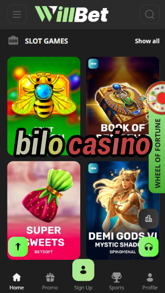 Bilo Casino - Best Local Community Casino-www.bdqngd.com